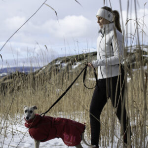 Rex Bungee Leash - Bilde 2