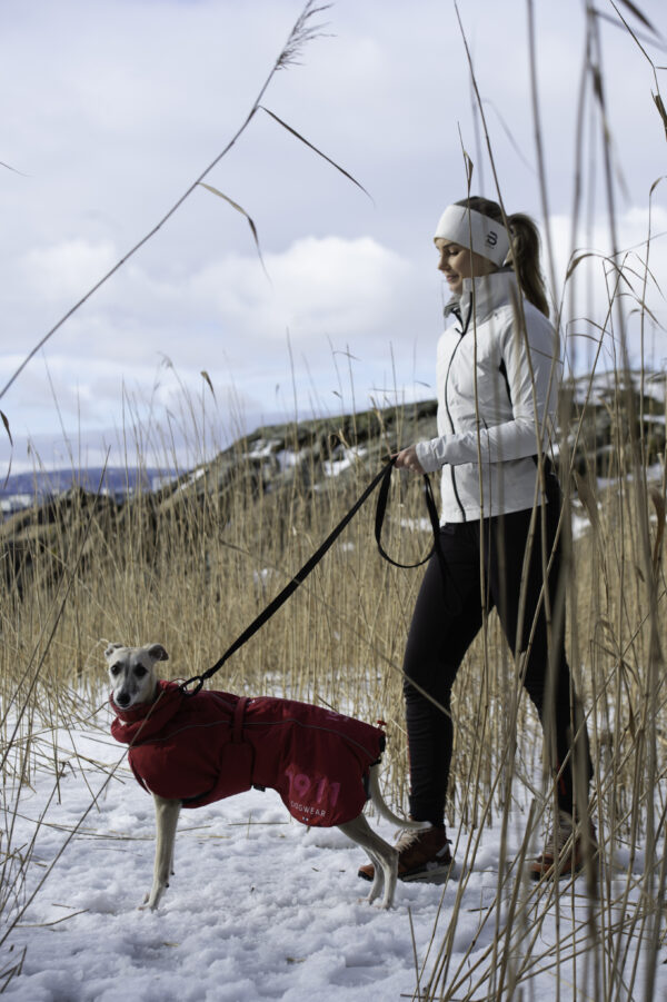 Rex Bungee Leash