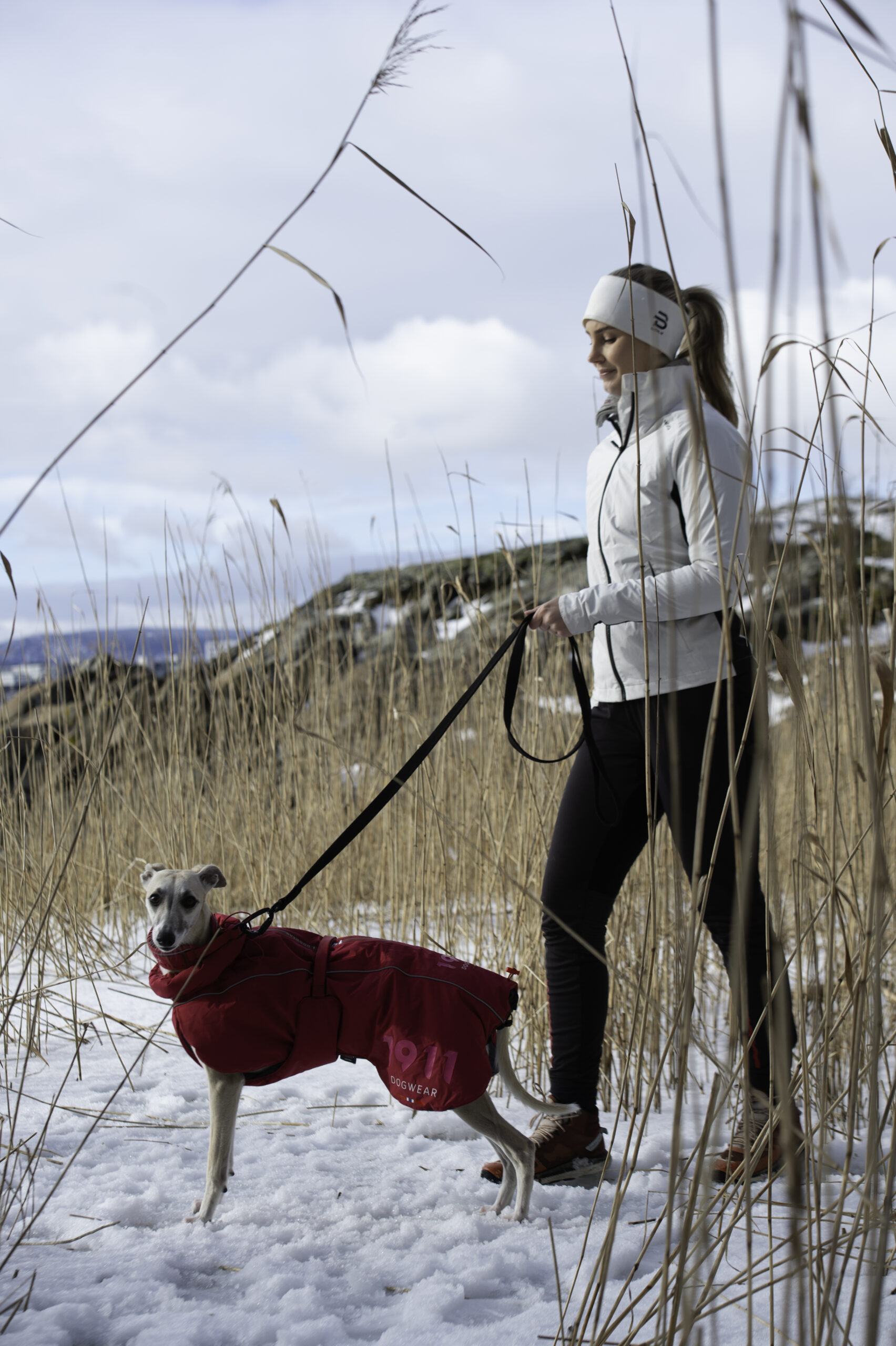 Rex Bungee Leash - Bilde 2