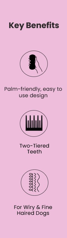 Pet Teezer Detangling Brush