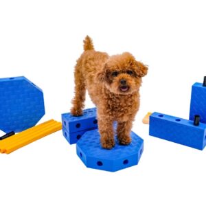 Fitpaws FitKinect Core