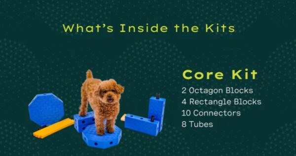 Fitpaws FitKinect Core