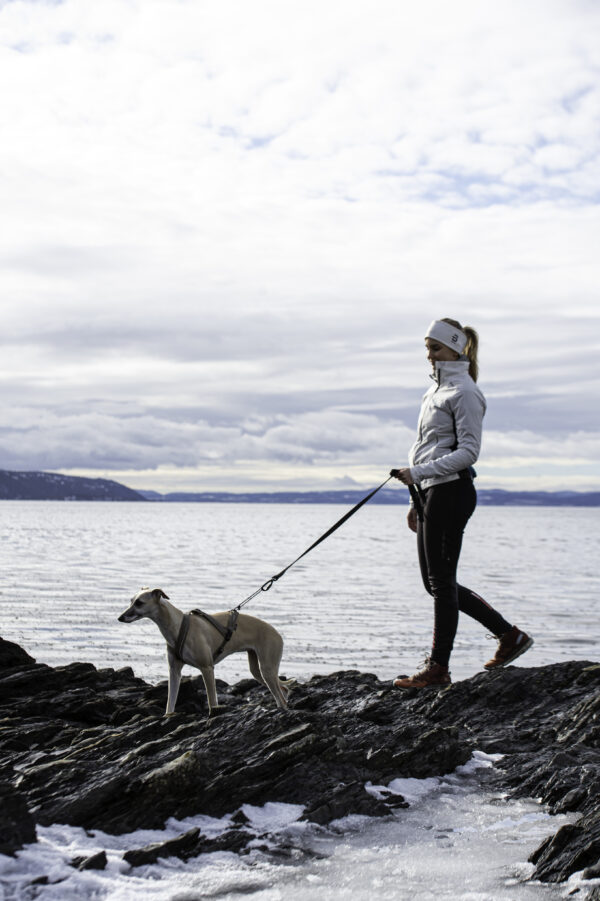 Nanuq Trail Harness Petrol