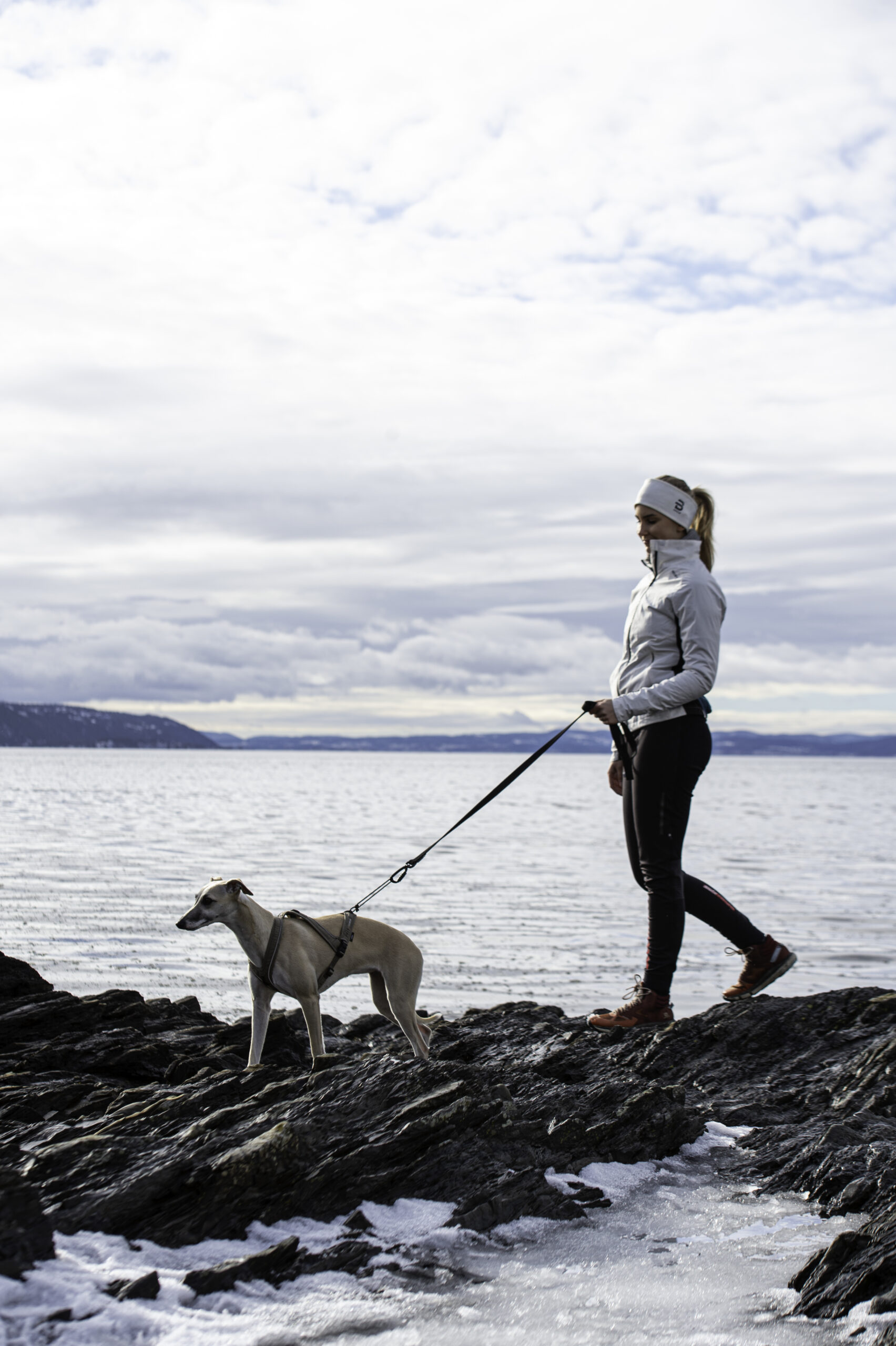 Nanuq Trail Harness Petrol - Bilde 4