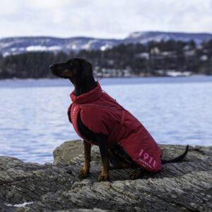 Arktis Warm Coat Petrol - Bilde 2