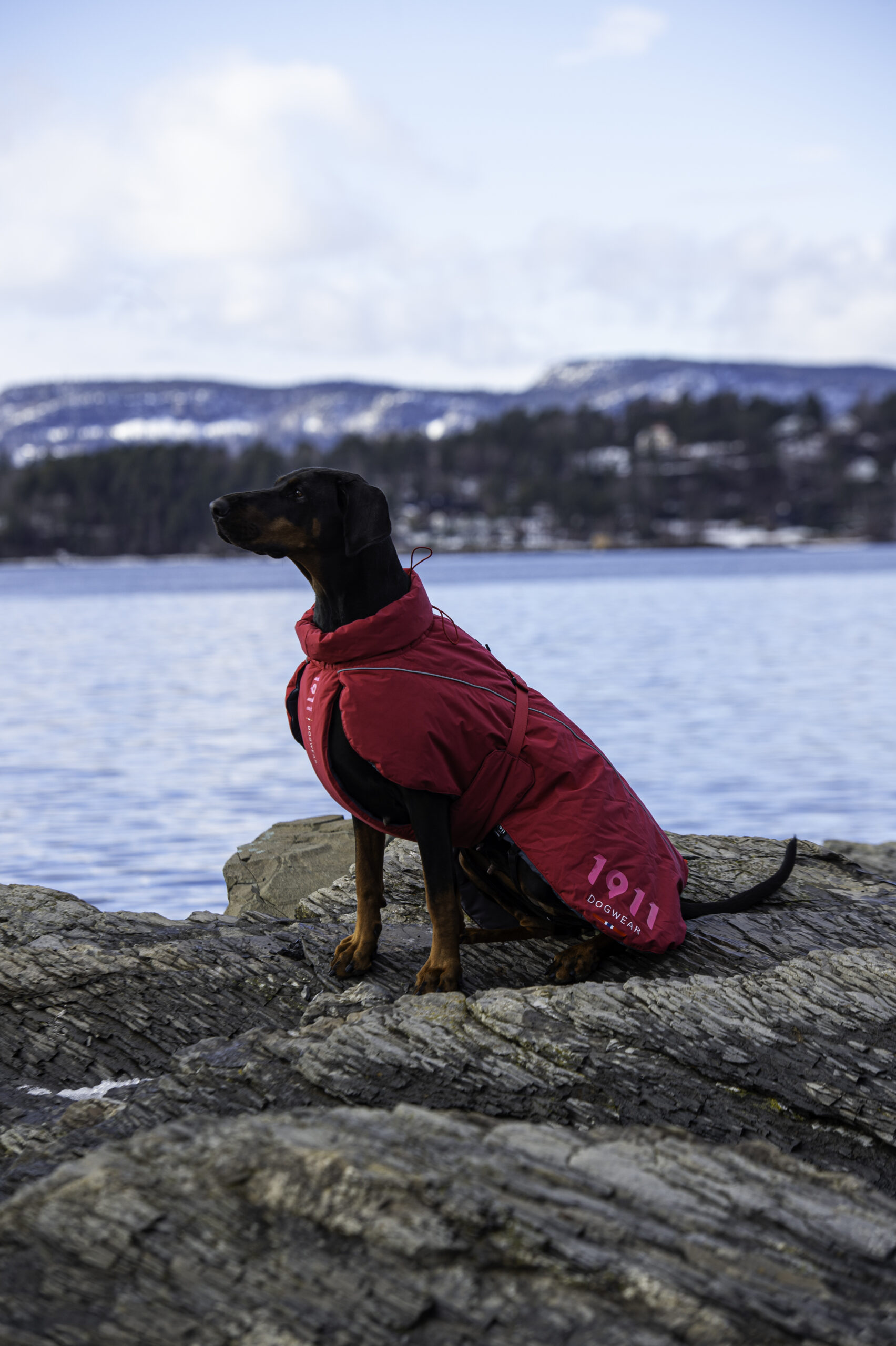 Arktis Warm Coat Petrol - Bilde 2