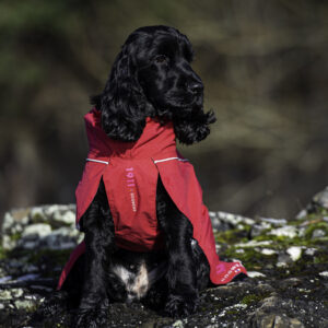 Clark Rain Coat Khaki - Bilde 2