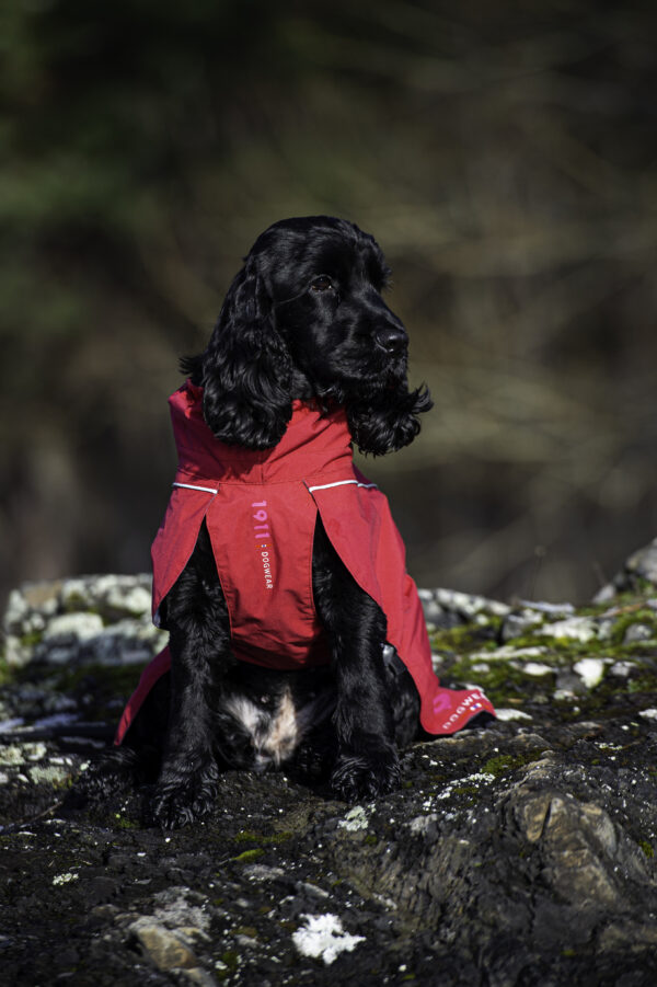 Clark Rain Coat Khaki