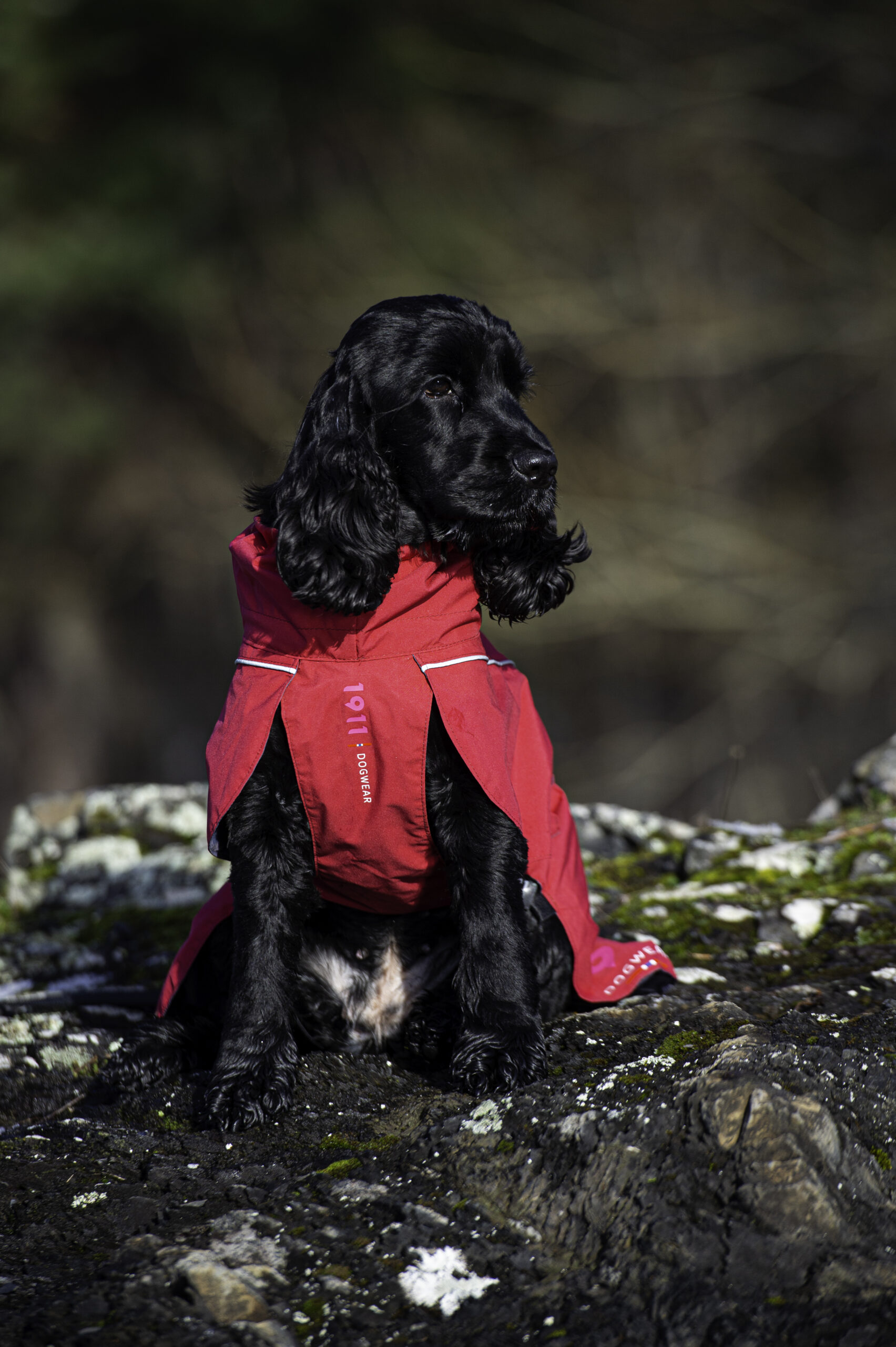 Clark Rain Coat Khaki - Bilde 2