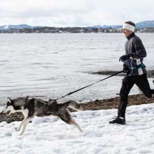 Nanuq Trail Harness Petrol - Bilde 3