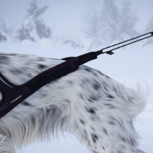 Rex Bungee Leash - Bilde 5