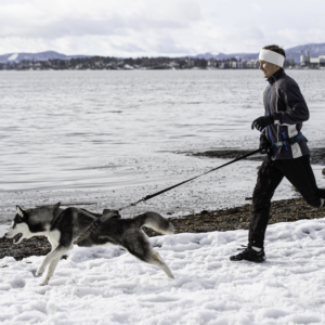 Nanuq Trail Harness Khaki - Bilde 4