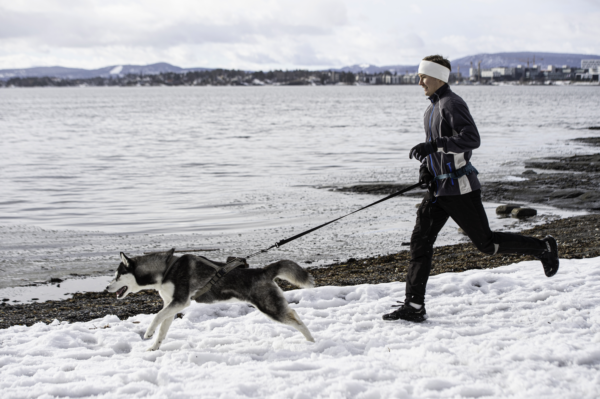 Nanuq Trail Harness Khaki