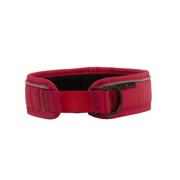 Odin Collar Cerise