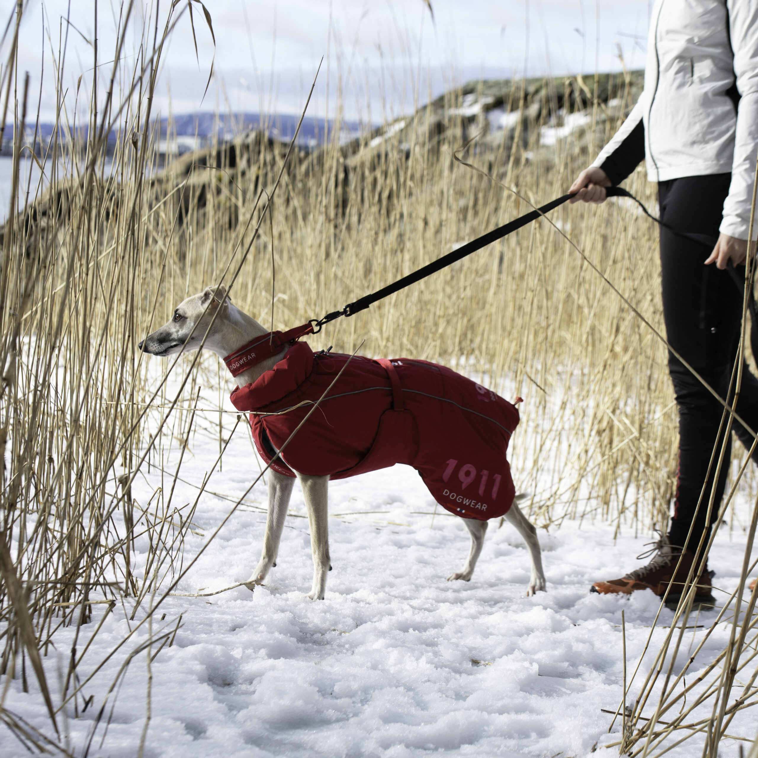 Odin Collar Cerise - Bilde 2
