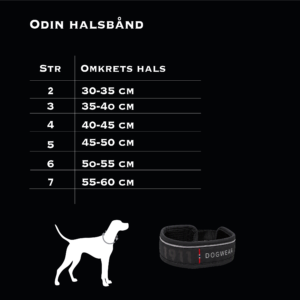 Odin Collar Cerise - Bilde 2