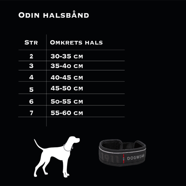 Odin Collar Petrol