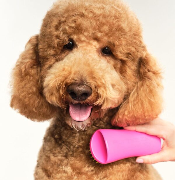 Pet Teezer Detangling Brush