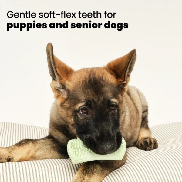 Pet Teezer Puppy Brush