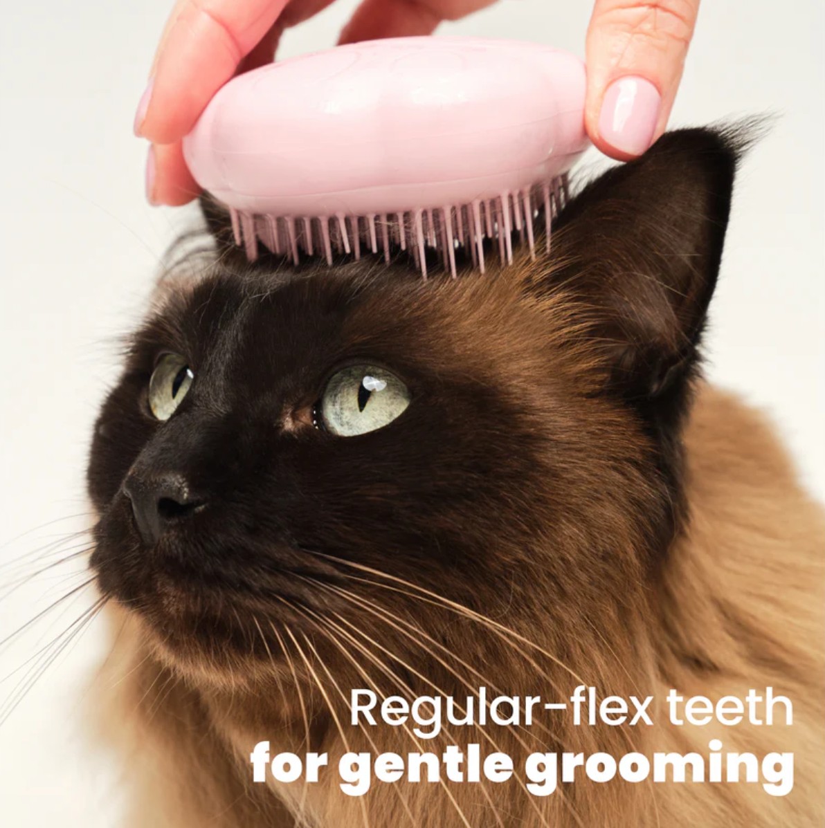 Pet Teezer Cat Grooming Brush - Bilde 4
