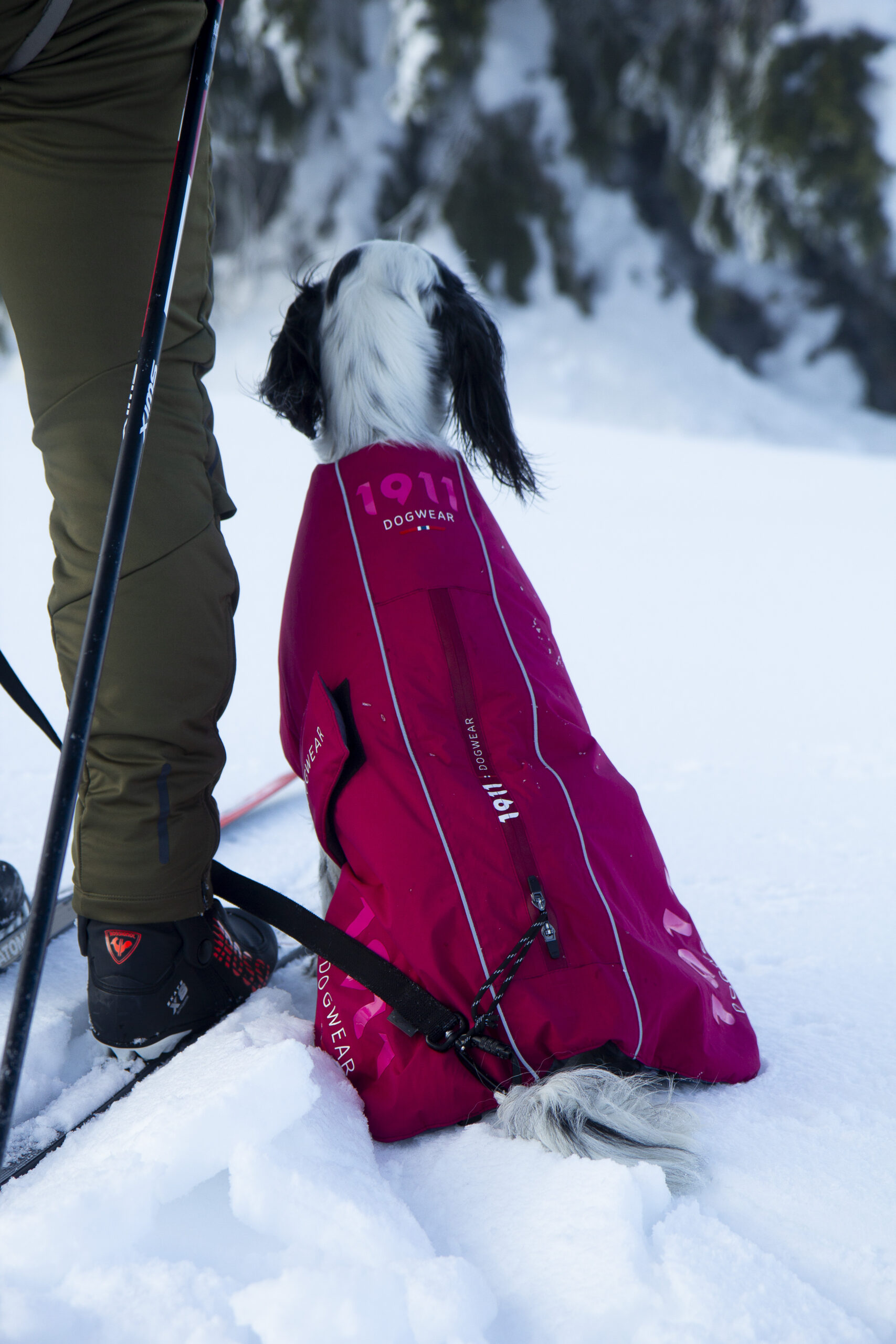 Polar Active Coat Khaki - Bilde 3