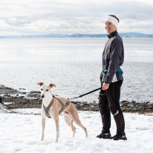 Obersten Pulling Harness Cerise - Bilde 3