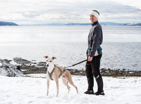 Obersten Pulling Harness Petrol