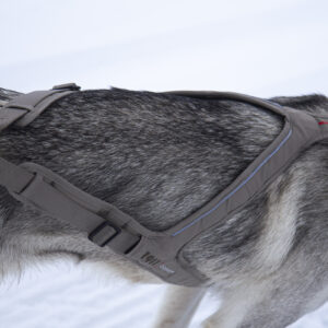 Obersten Pulling Harness Cerise - Bilde 6