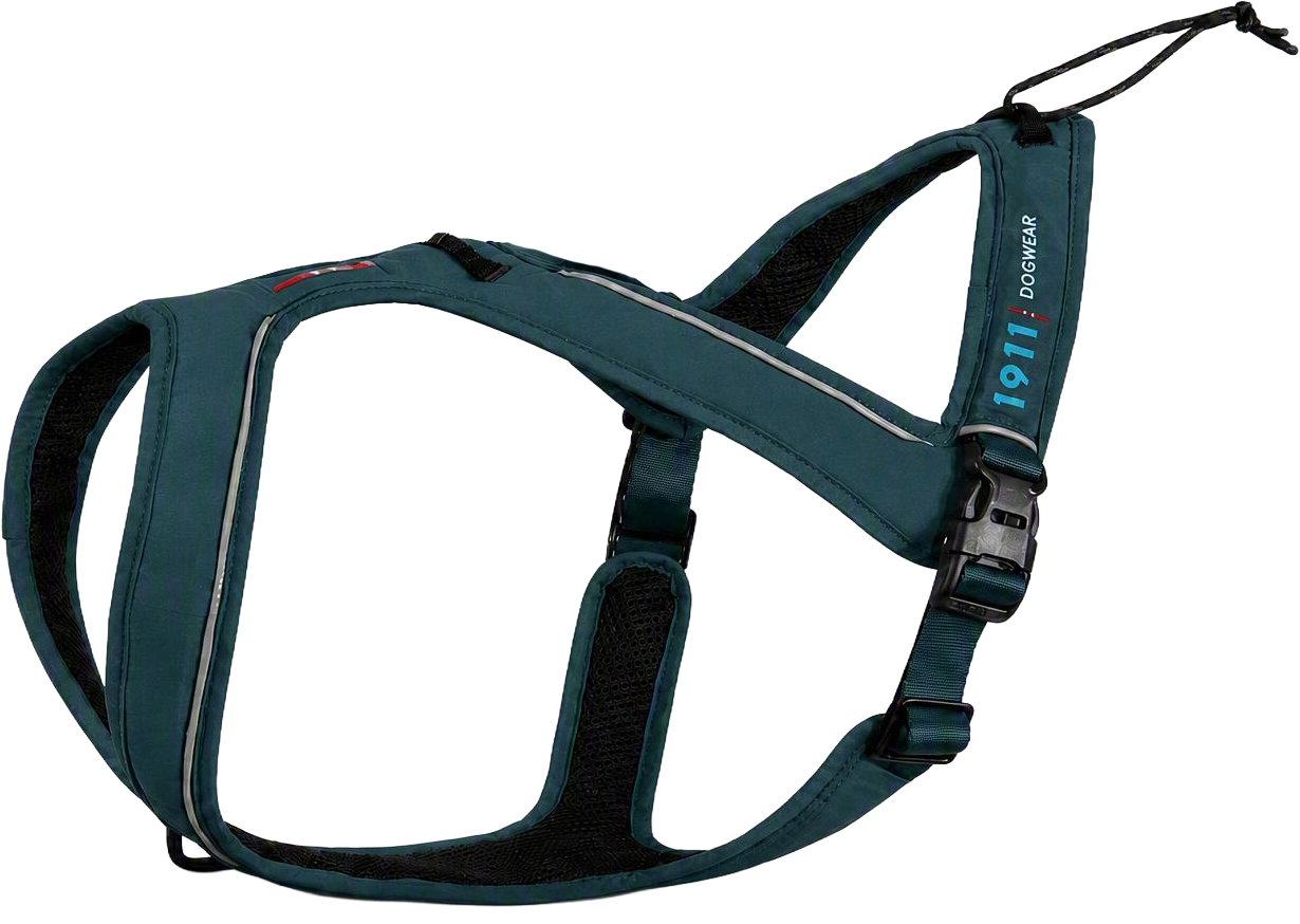 Nanuq Trail Harness Petrol - Bilde 1
